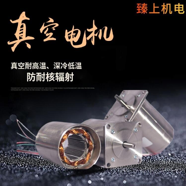 深圳市臻上機(jī)電 真空電機(jī)  高真空按需定制
